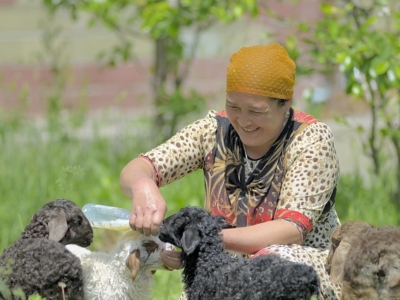 Grameen Credit Agricole Foundation