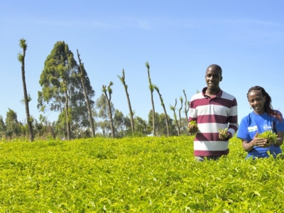 Grameen Credit-Agricole Foundation