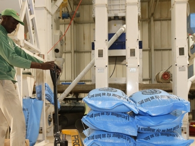 SFA Factory
