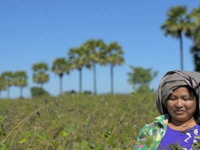 Grameen Credit Agricole Foundation