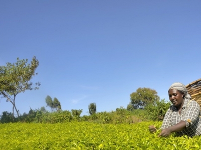Grameen Credit-Agricole Foundation
