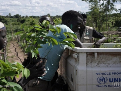 Uganda. Tree-loving South Sudan refugee turns settlements green