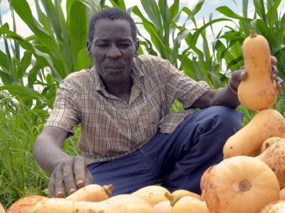 MLF-Zambia
