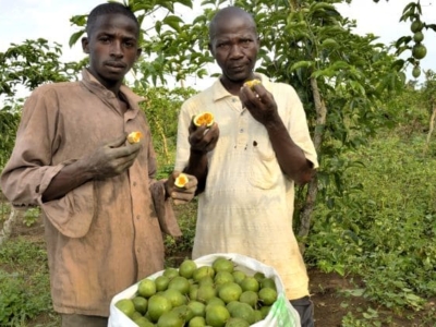 Uganda_Ugafode (Didier Gentilhomme) good size (60)