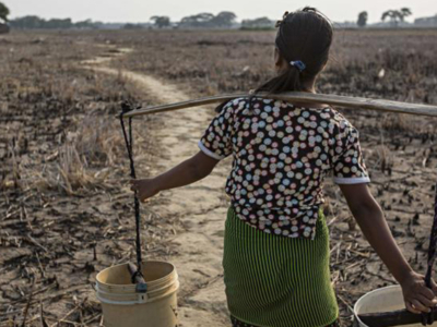 GEF news article launch July 2022