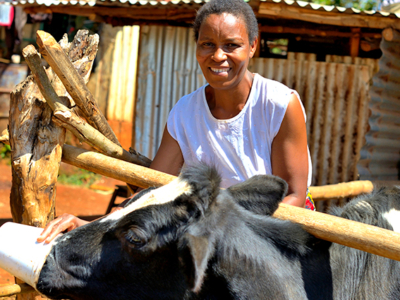 Film news article Eclof Kenya August 2022