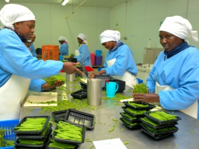 Kenya_VERT (Didier Gentilhomme) (38)