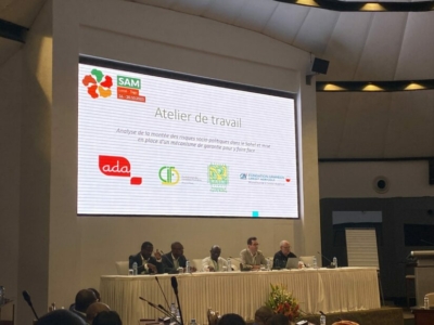 Workshop on Sahel risks