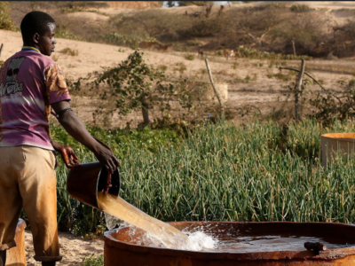 Screenshot 2026-03-13 100307