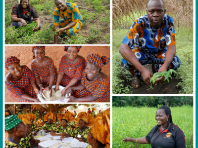 Publications LinkedIn